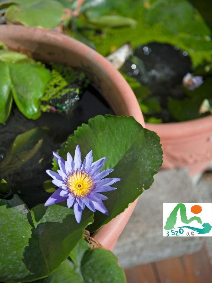 3520 Homestay T'ai-tung Esterno foto